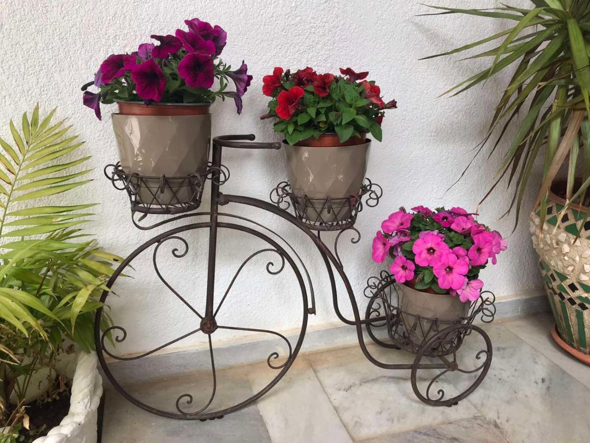Makis Studios & Apartments Poros  Dış mekan fotoğraf